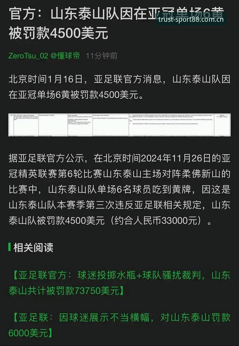 体育新版 足协第三批禁足名单公布65人受罚,体育平台如何保障你的观赛体验?